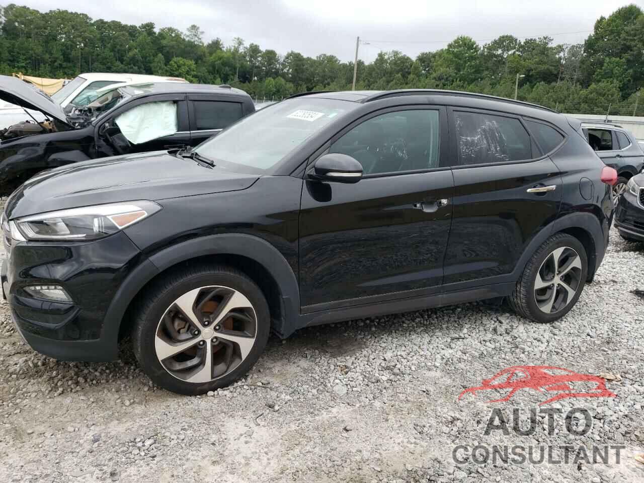 HYUNDAI TUCSON 2016 - KM8J33A20GU162609