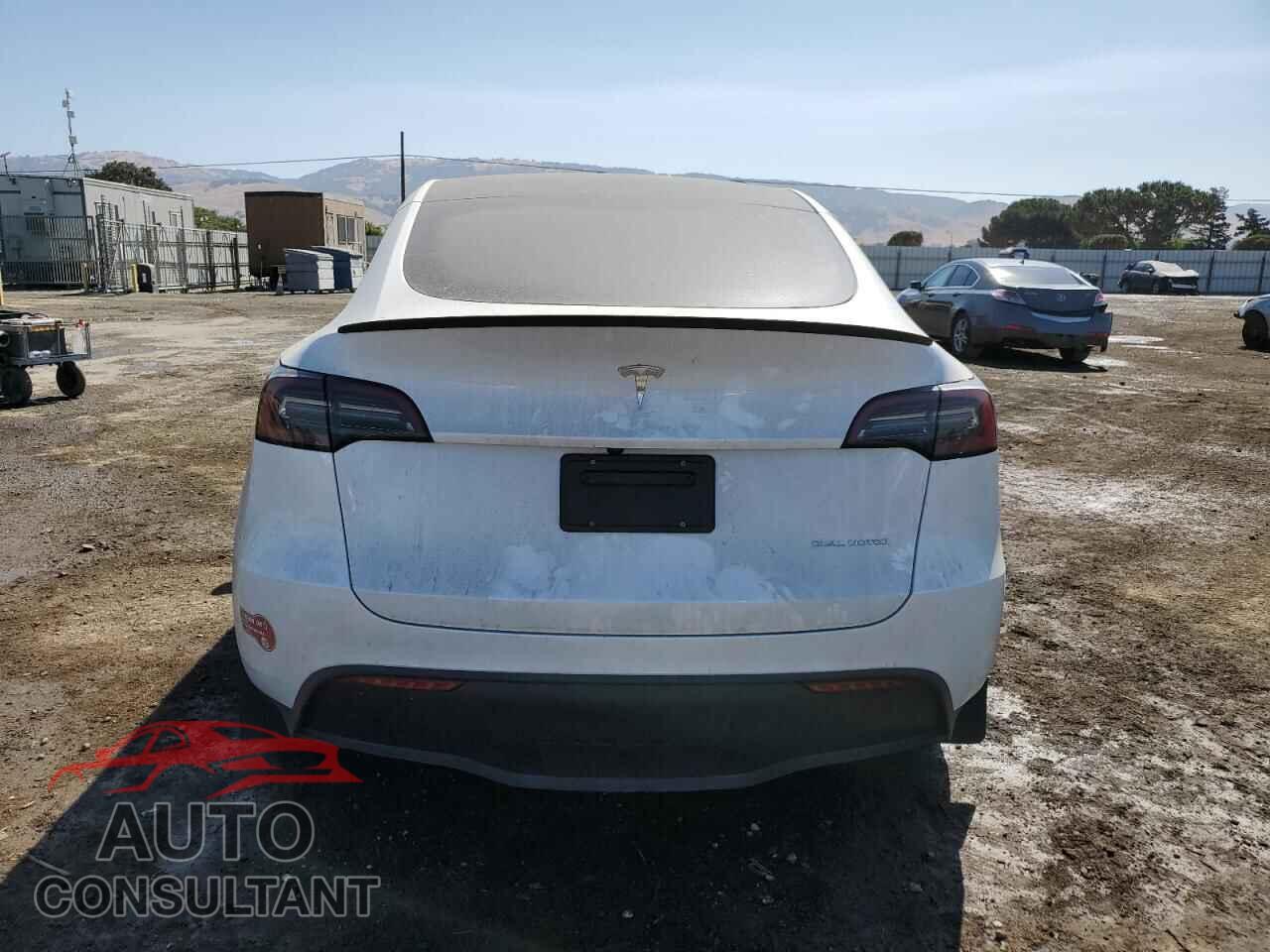 TESLA MODEL Y 2024 - 7SAYGDEE5RF090807