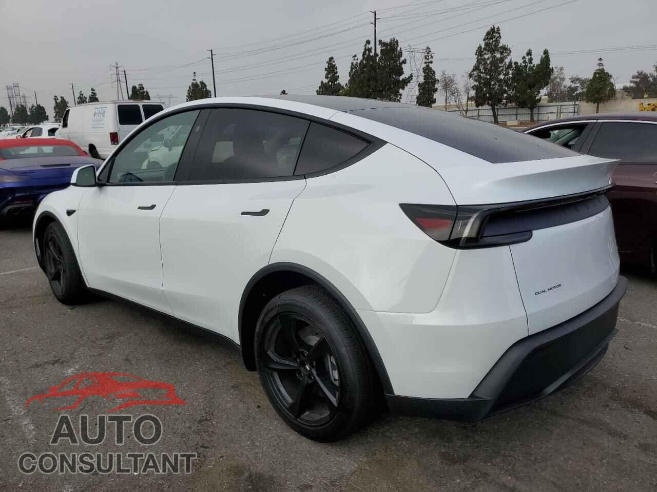 TESLA MODEL Y 2026 - 7SAYGDEE3TF331237