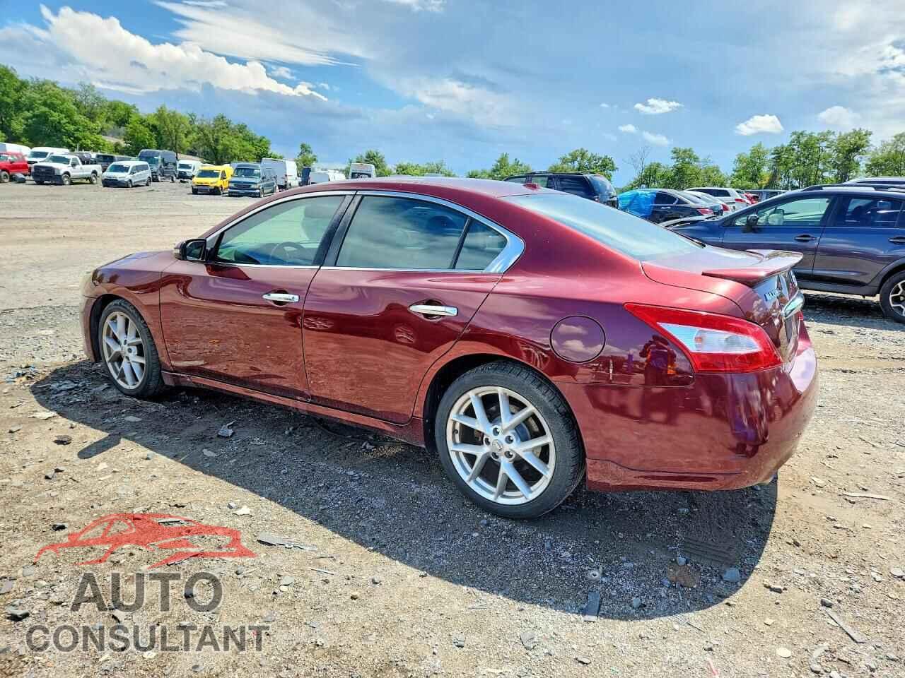NISSAN MAXIMA 2009 - 1N4AA51E69C849107