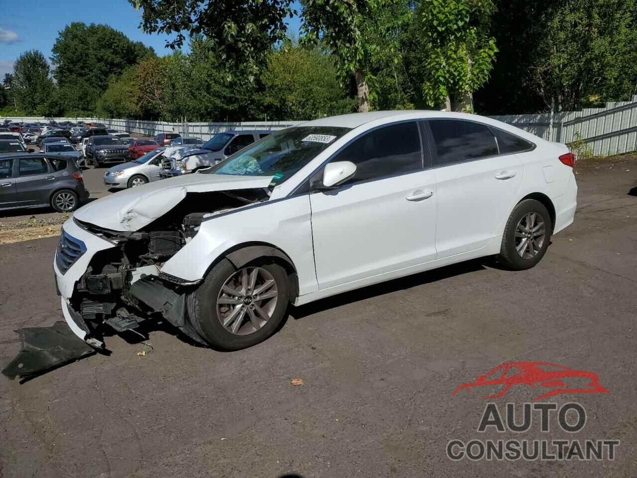 HYUNDAI SONATA 2017 - 5NPE24AF2HH581669
