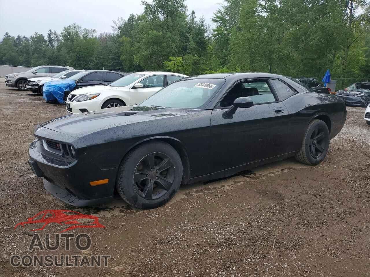 DODGE CHALLENGER 2009 - 2B3LJ44V59H559982