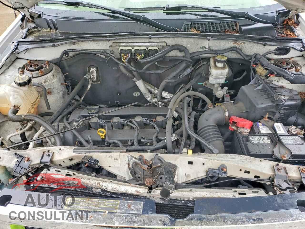 FORD ESCAPE 2011 - 1FMCU0D79BKC08020