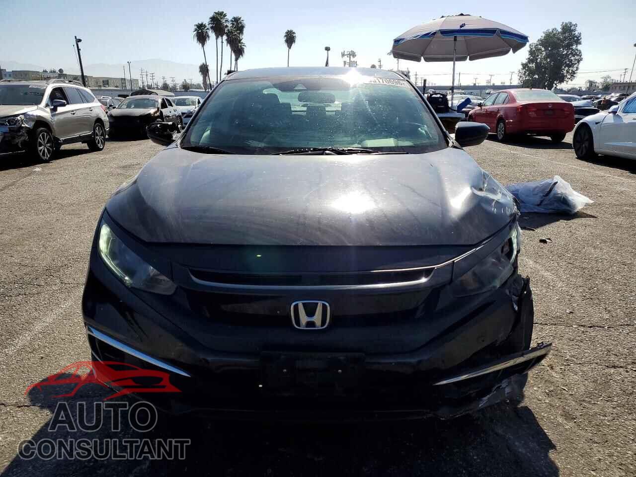 HONDA CIVIC 2019 - 2HGFC2F69KH503261