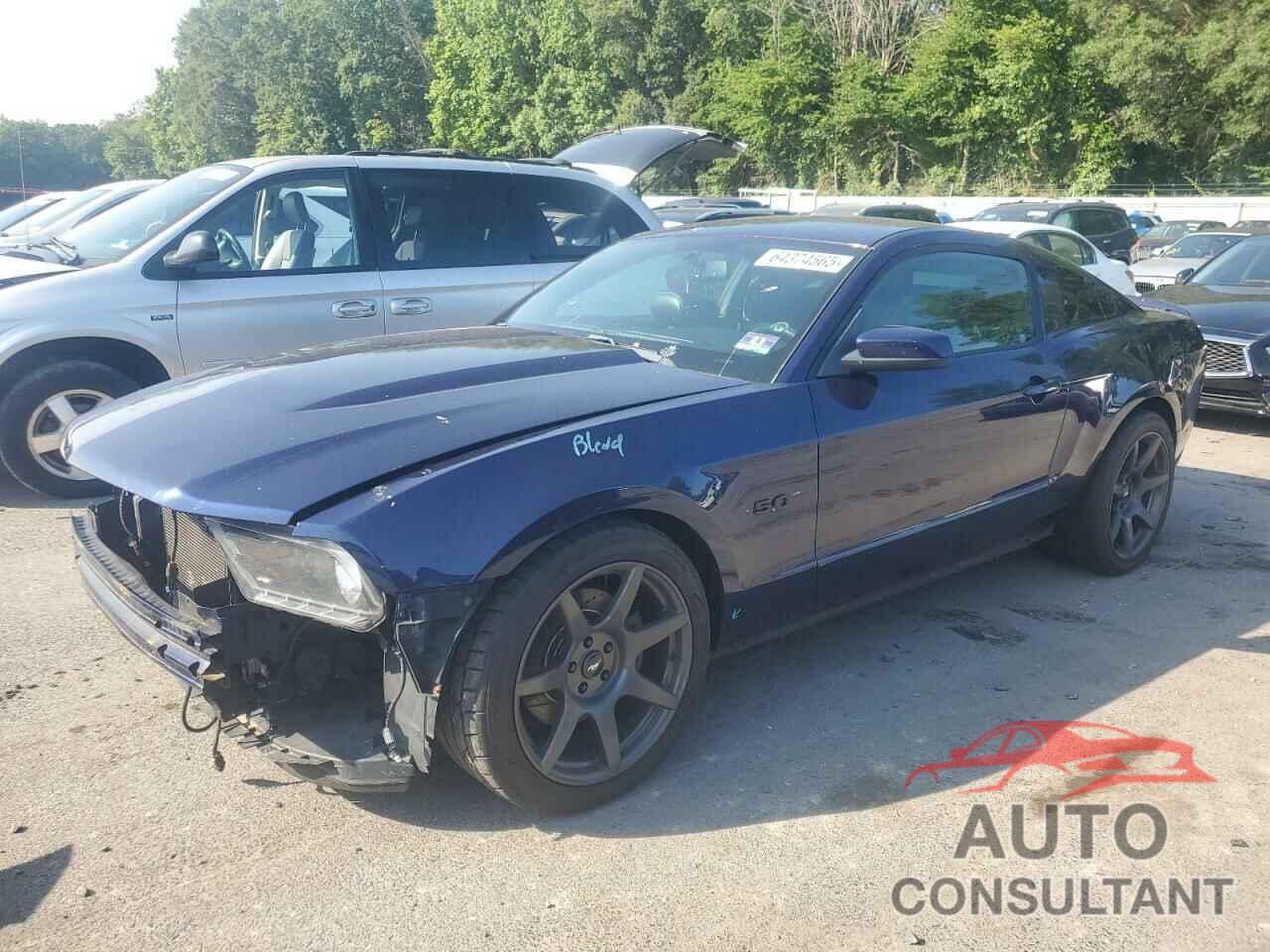 FORD MUSTANG 2011 - 1ZVBP8CFXB5134973