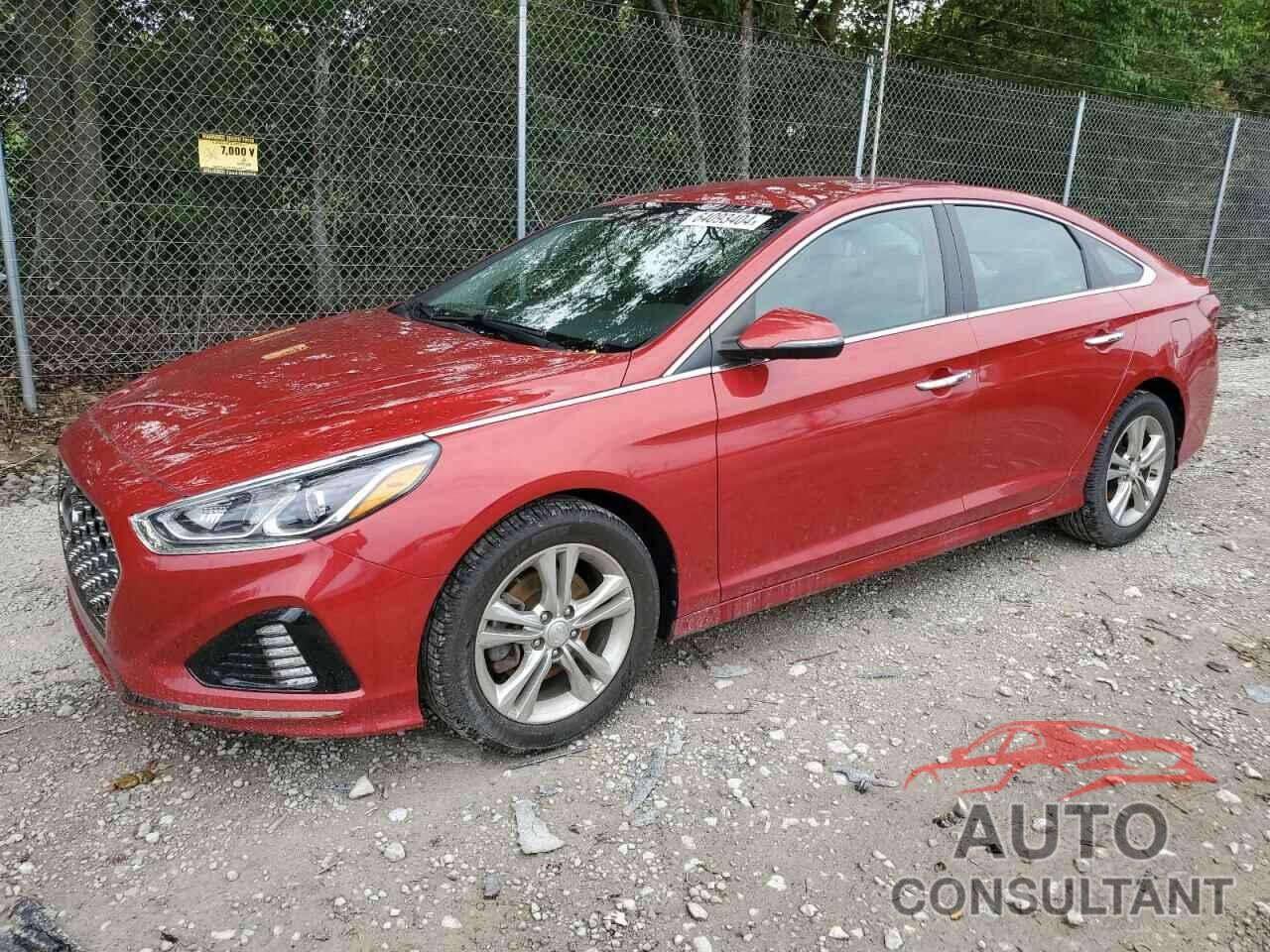 HYUNDAI SONATA 2019 - 5NPE34AF3KH786194