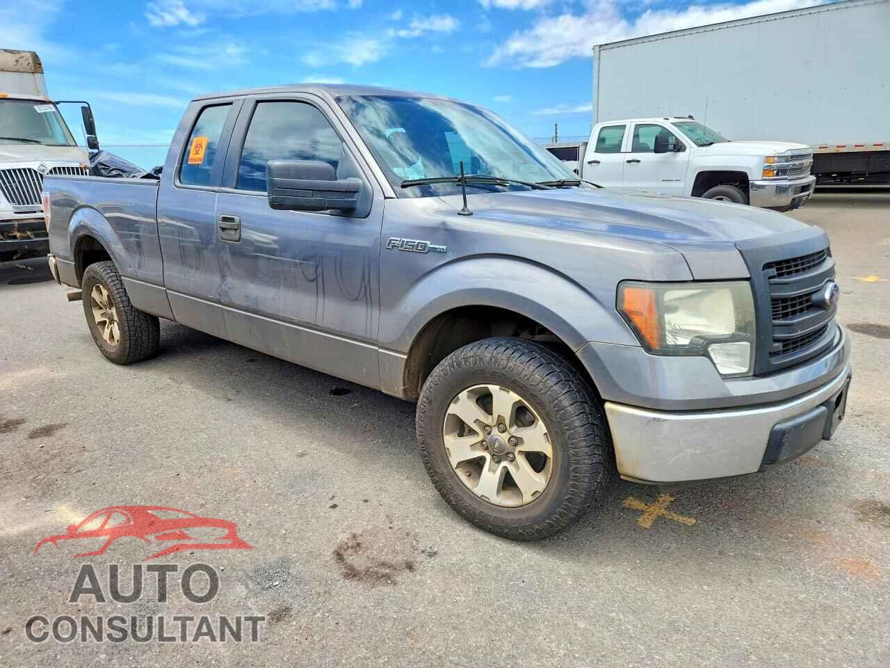 FORD F150 2014 - 1FTEX1CM2EKE02474