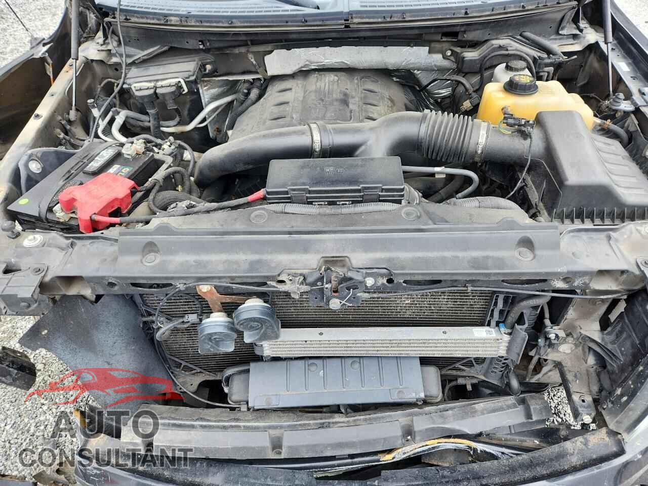 FORD F-150 2013 - 1FTFW1ET8DFD12944