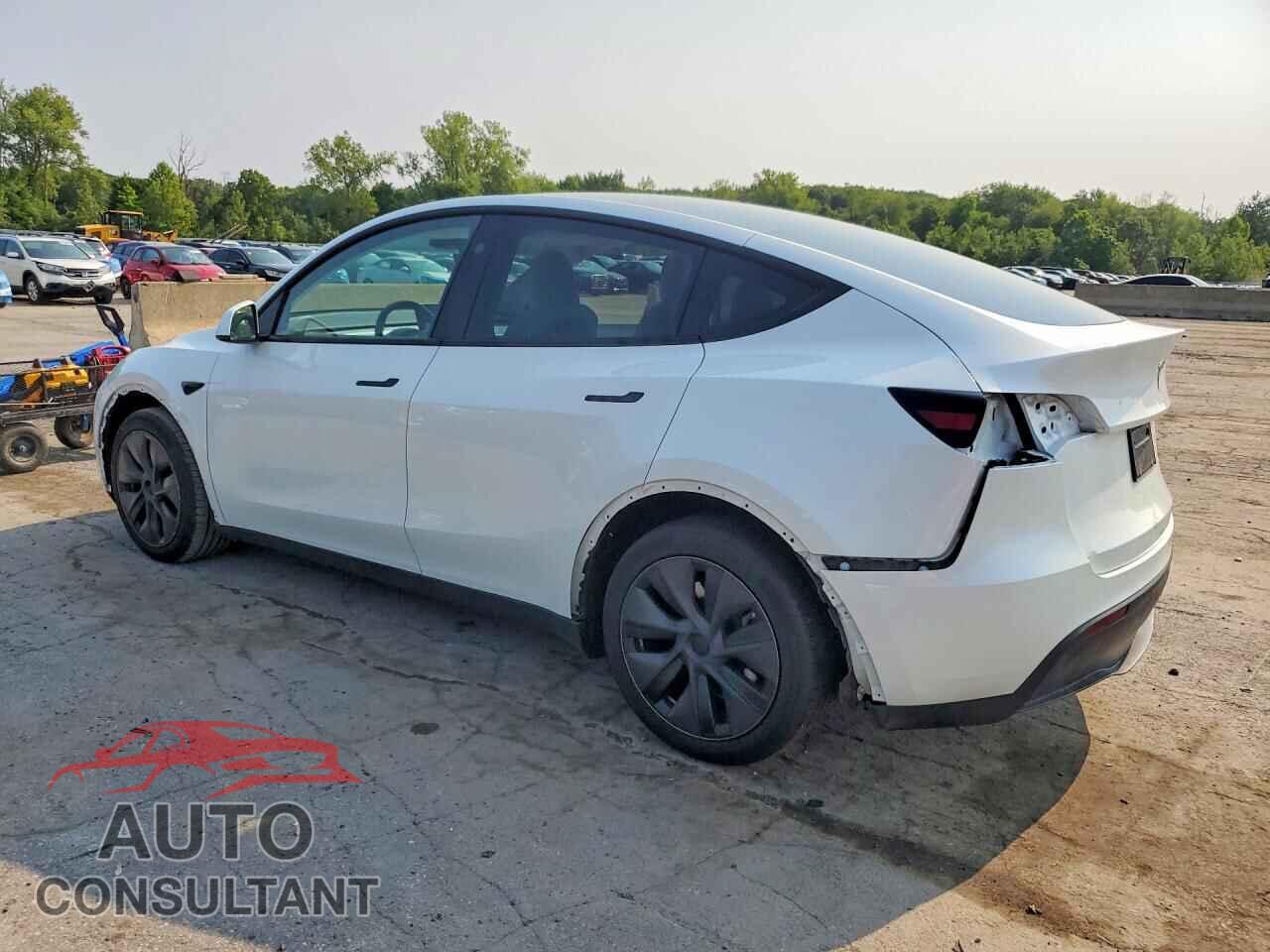 TESLA MODEL Y 2024 - 7SAYGDEE3RF168310
