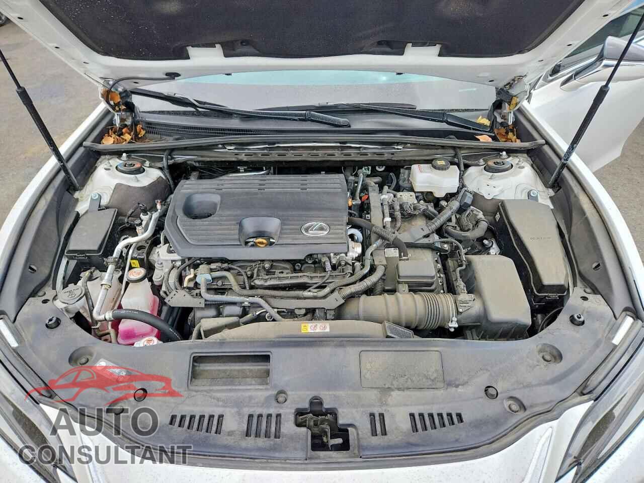 LEXUS ES300 2025 - 58AEA1C19SU057049