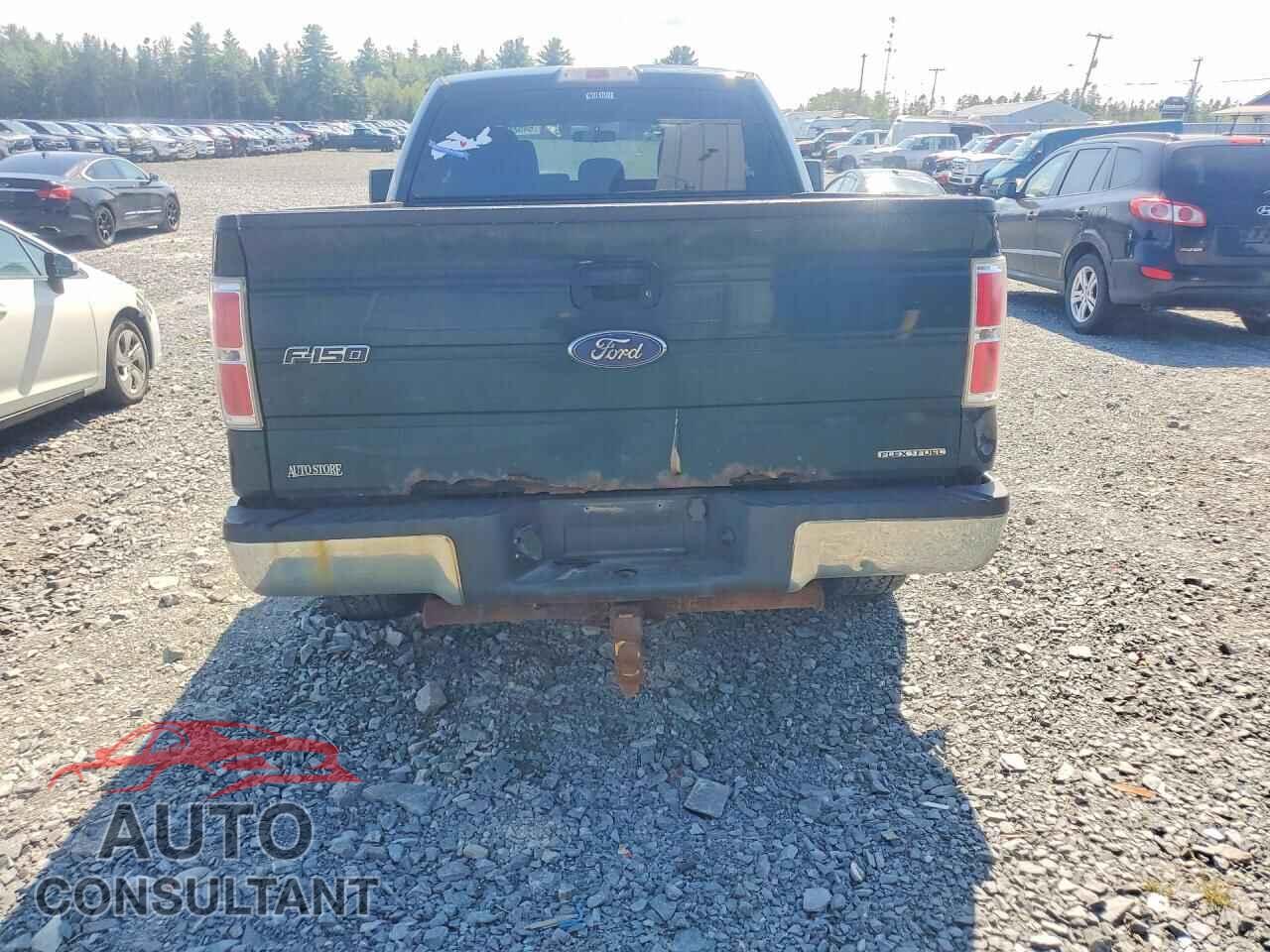 FORD F150 2014 - 1FTFX1EF8EFB34980
