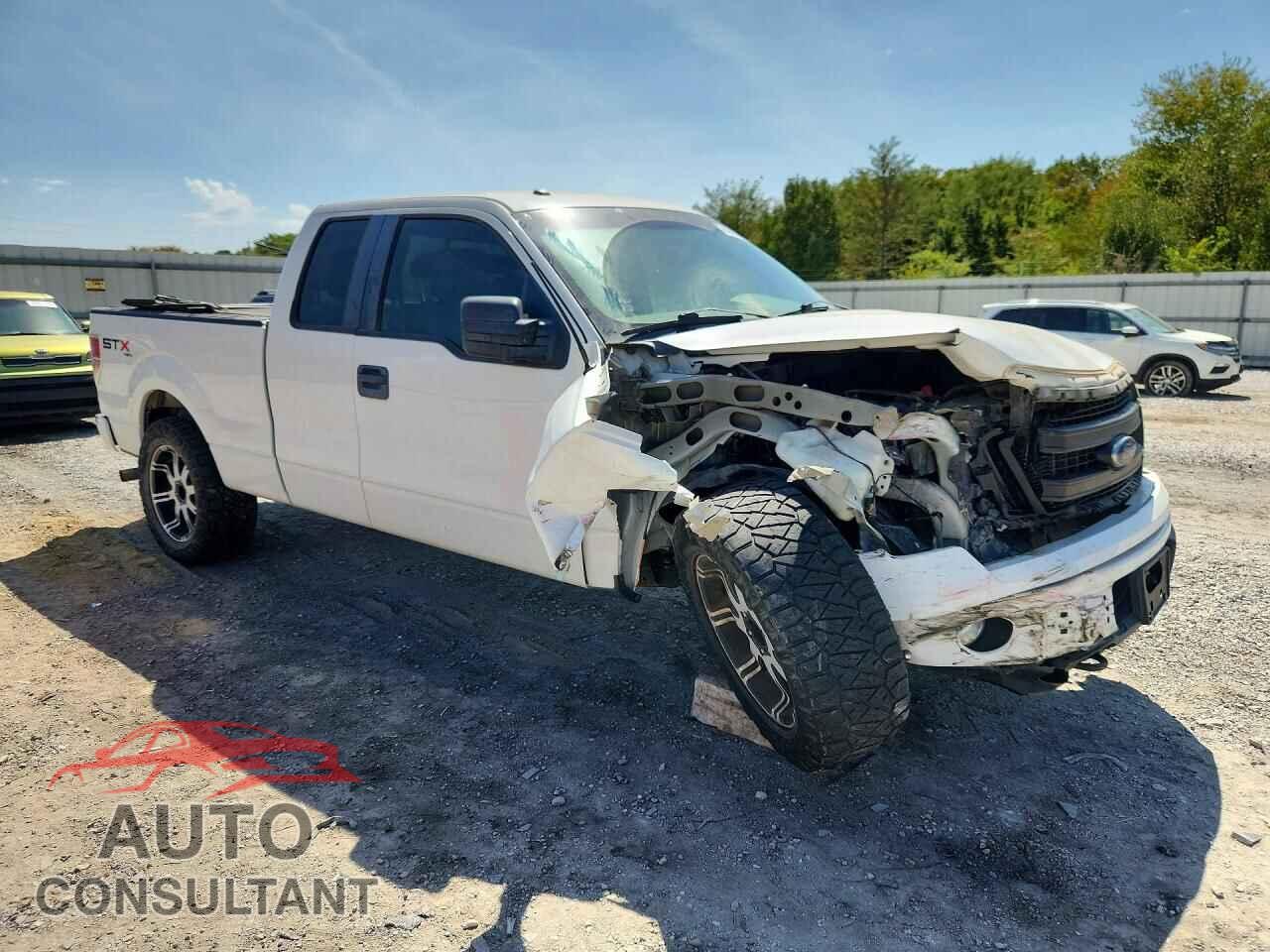 FORD F150 2013 - 1FTFX1EF0DFD41233