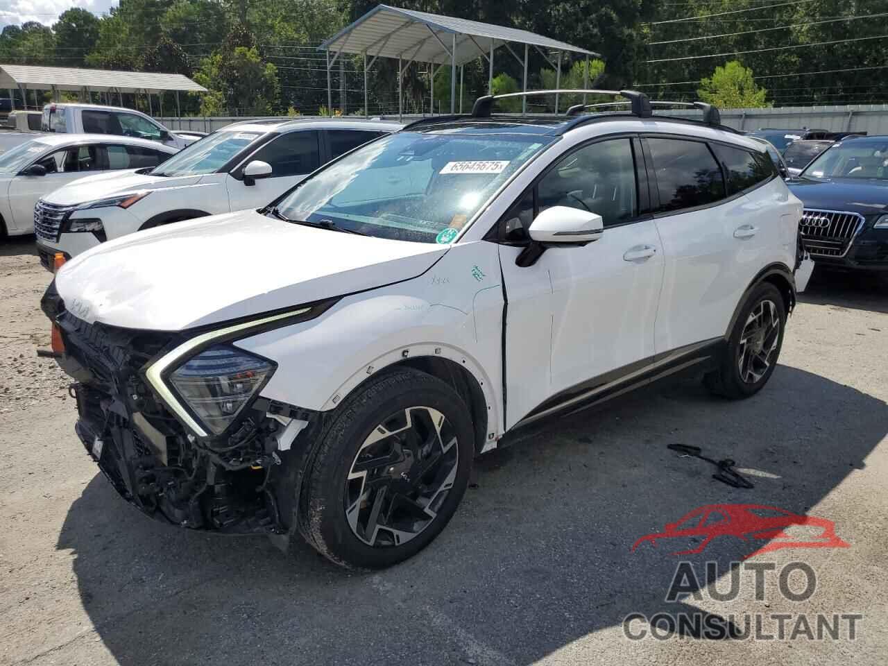 KIA SPORTAGE 2024 - 5XYK53DFXRG201437