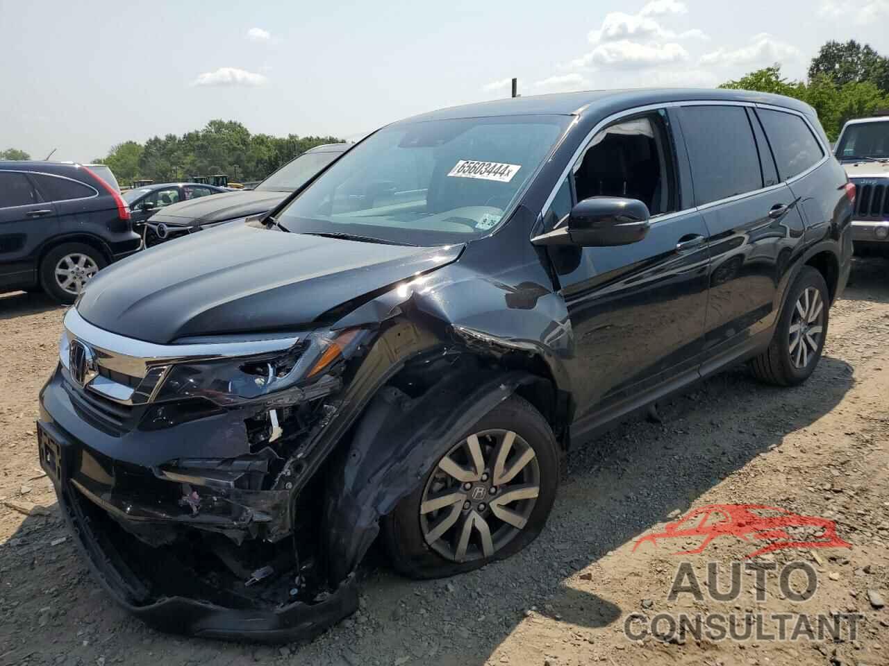 HONDA PILOT 2021 - 5FNYF6H51MB101169