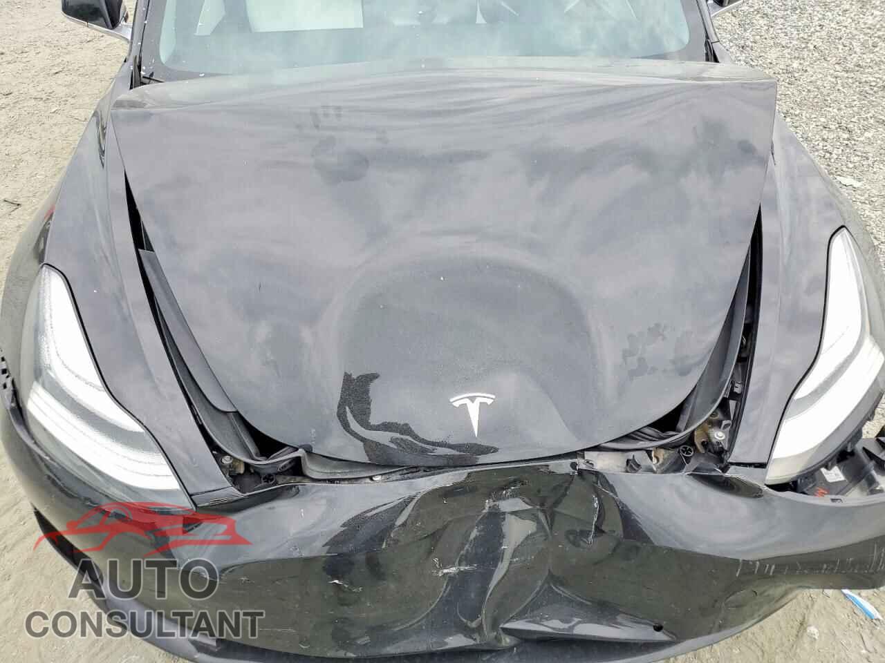 TESLA MODEL 3 2019 - 5YJ3E1EB3KF365923