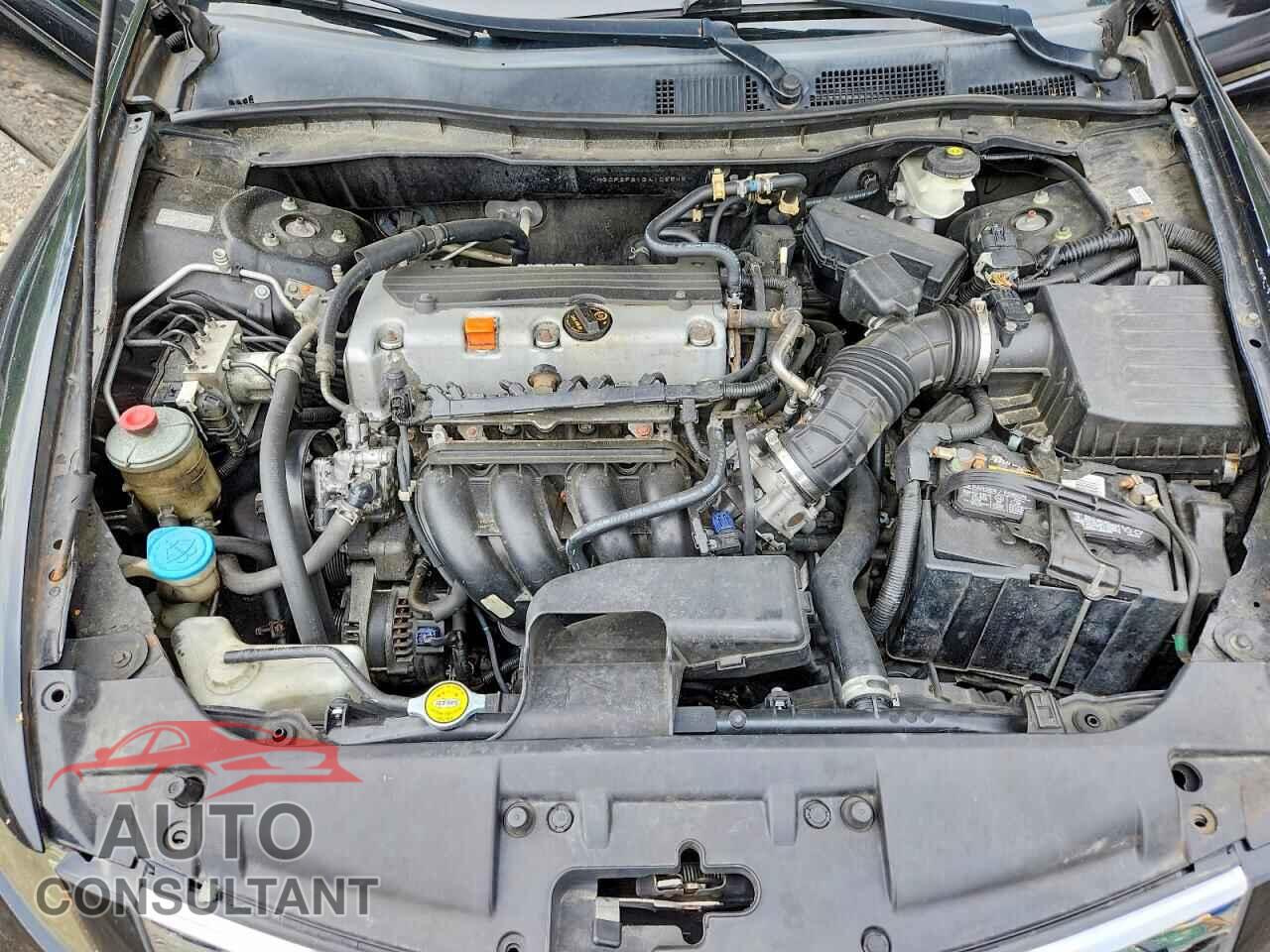 HONDA ACCORD 2011 - 1HGCP2F61BA108545