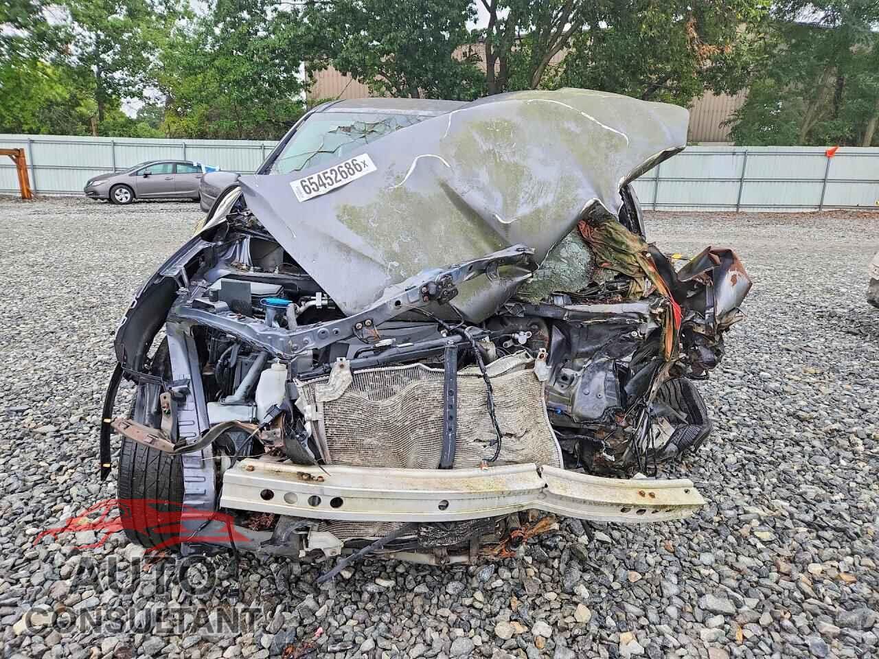 HONDA RIDGELINE 2017 - 5FPYK3F60HB033143