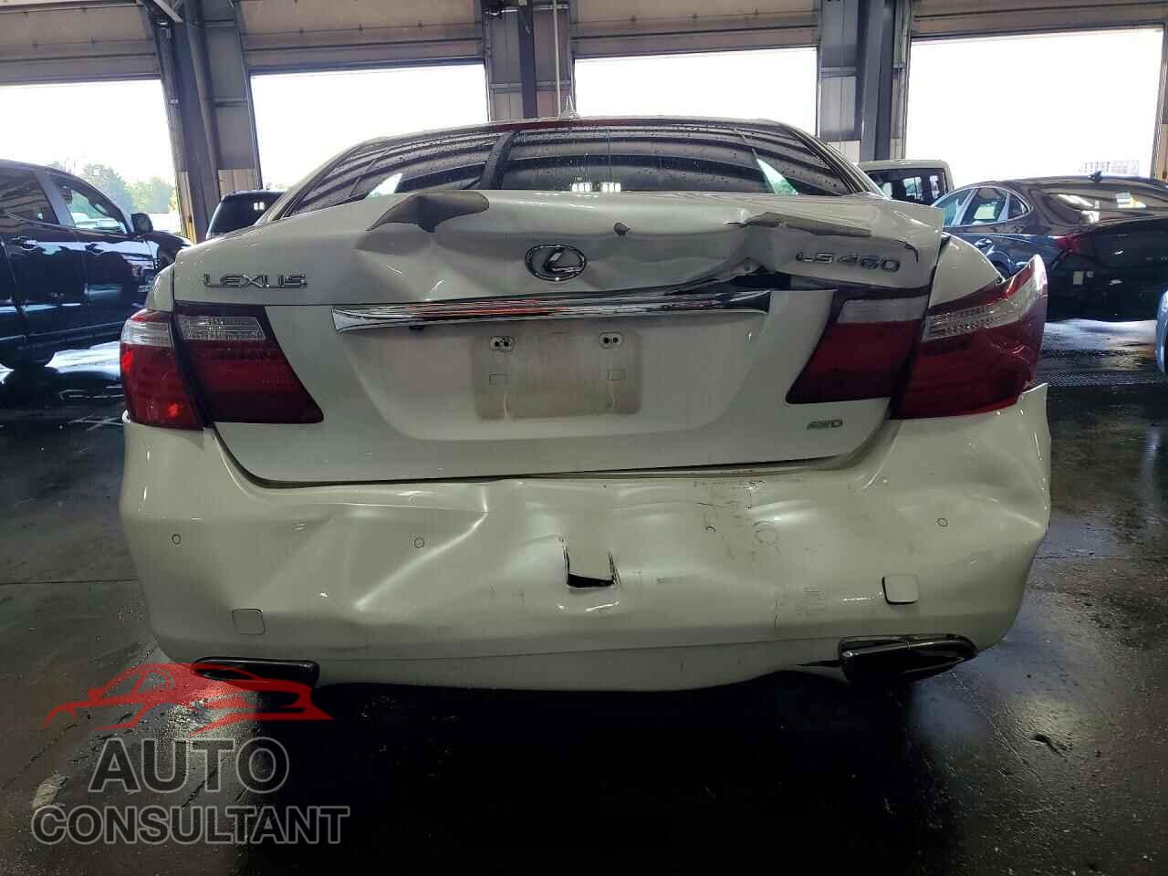 LEXUS LS460 2009 - JTHCL46F995004621