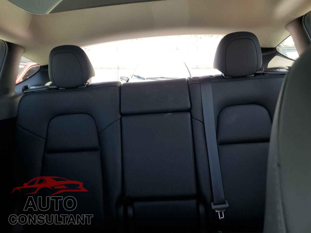 TESLA MODEL Y 2024 - 7SAYGDEE0RF044656