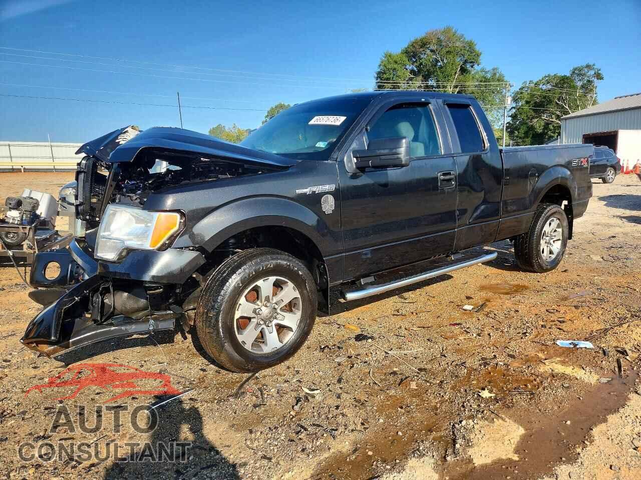 FORD F150 2013 - 1FTFX1EF9DFB27745