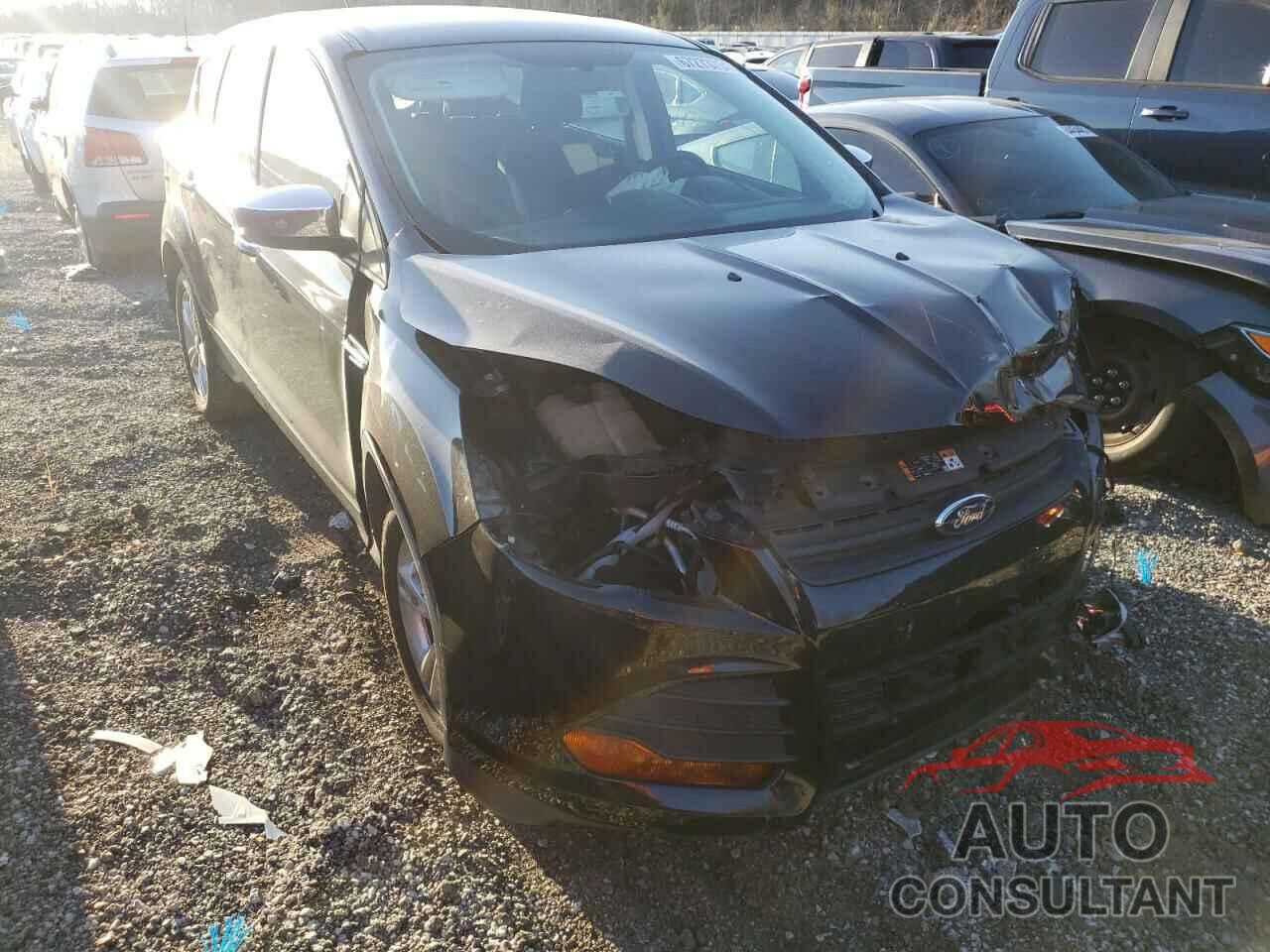 FORD ESCAPE 2016 - 1FMCU0F73GUB34327