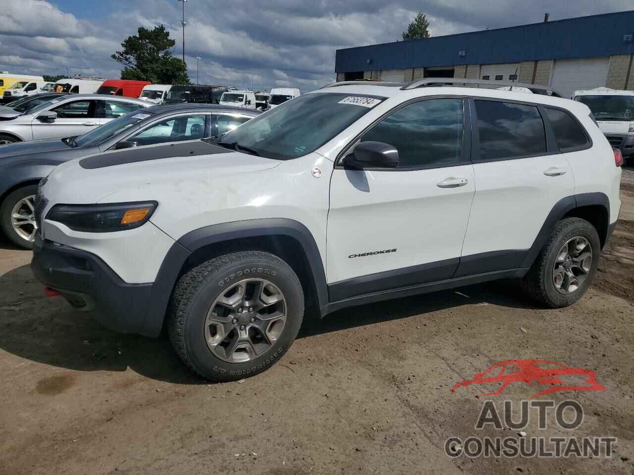 JEEP CHEROKEE 2019 - 1C4PJMBX5KD131059