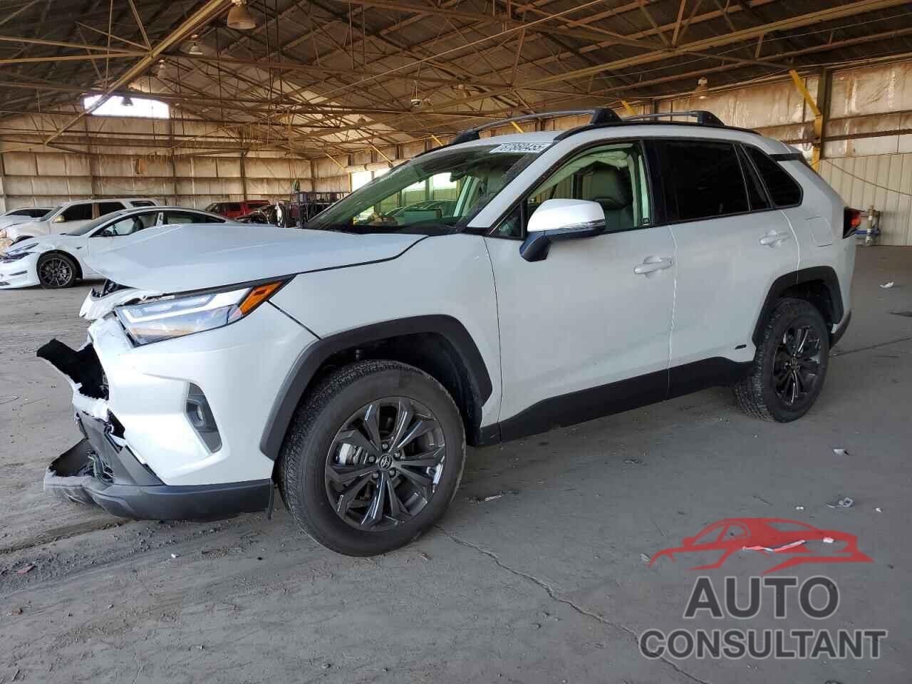 TOYOTA RAV4 2024 - JTMB6RFV0RJ041430