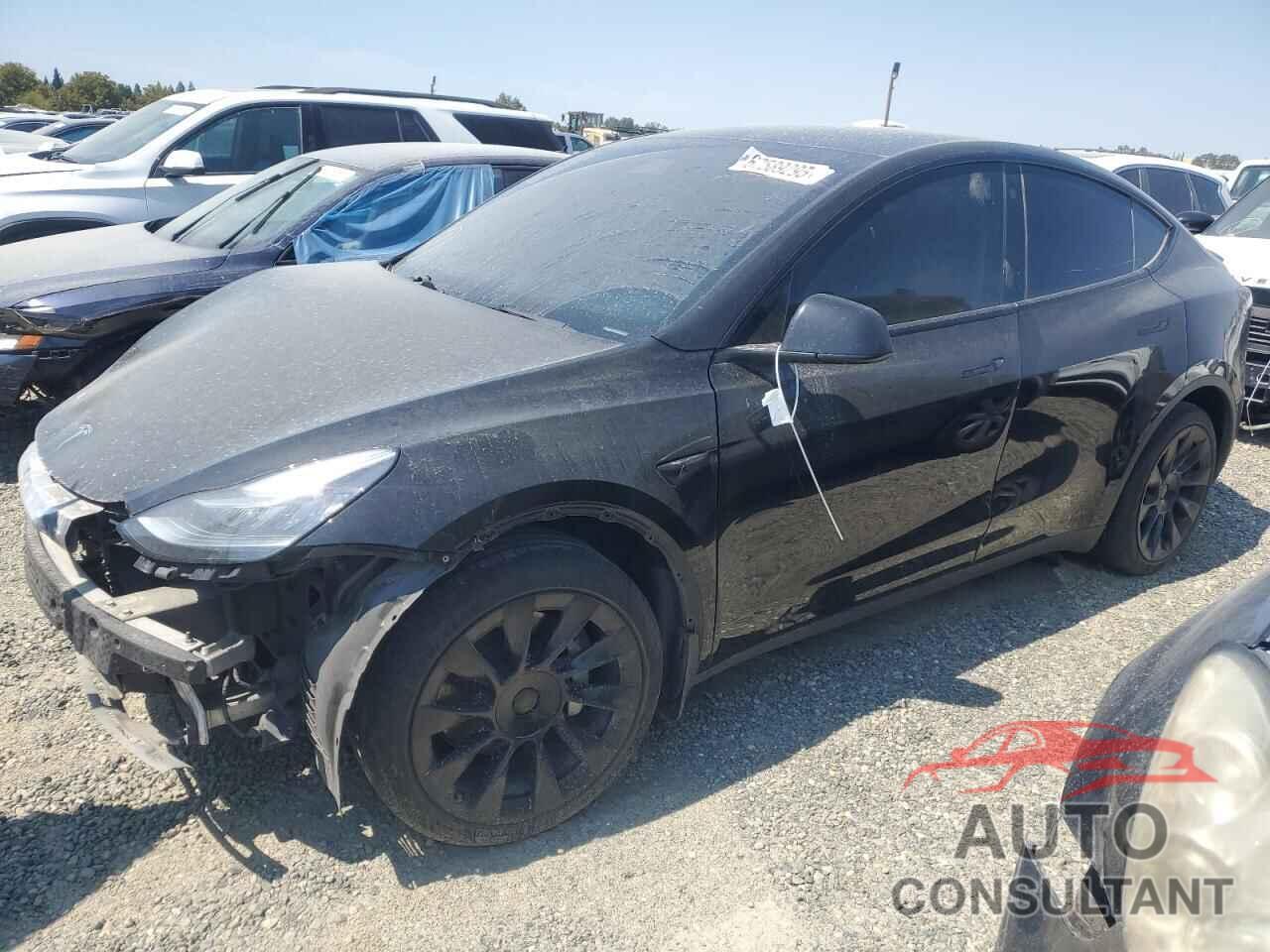 TESLA MODEL Y 2022 - 7SAYGDEE9NF489813