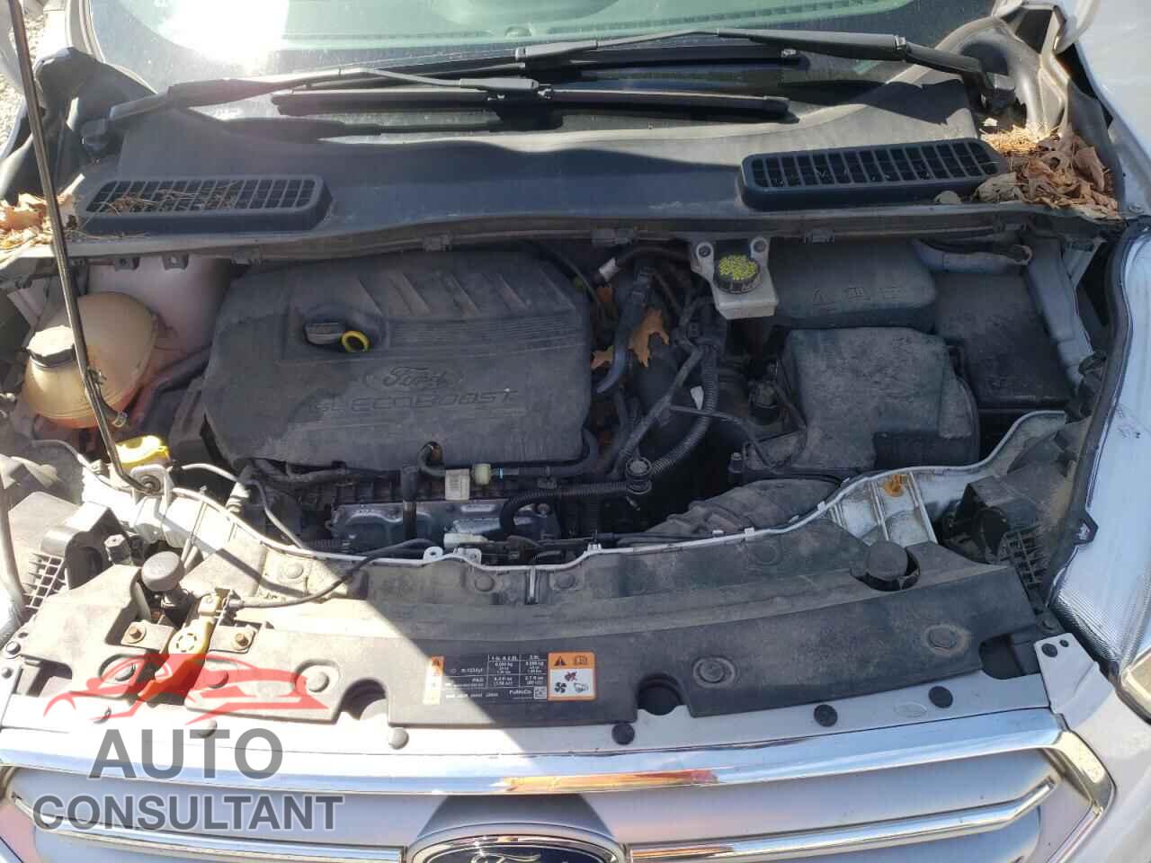 FORD ESCAPE 2017 - 1FMCU9GD3HUB33513
