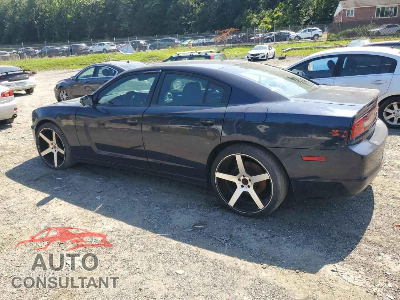 DODGE CHARGER 2013 - 2C3CDXAT7DH546741