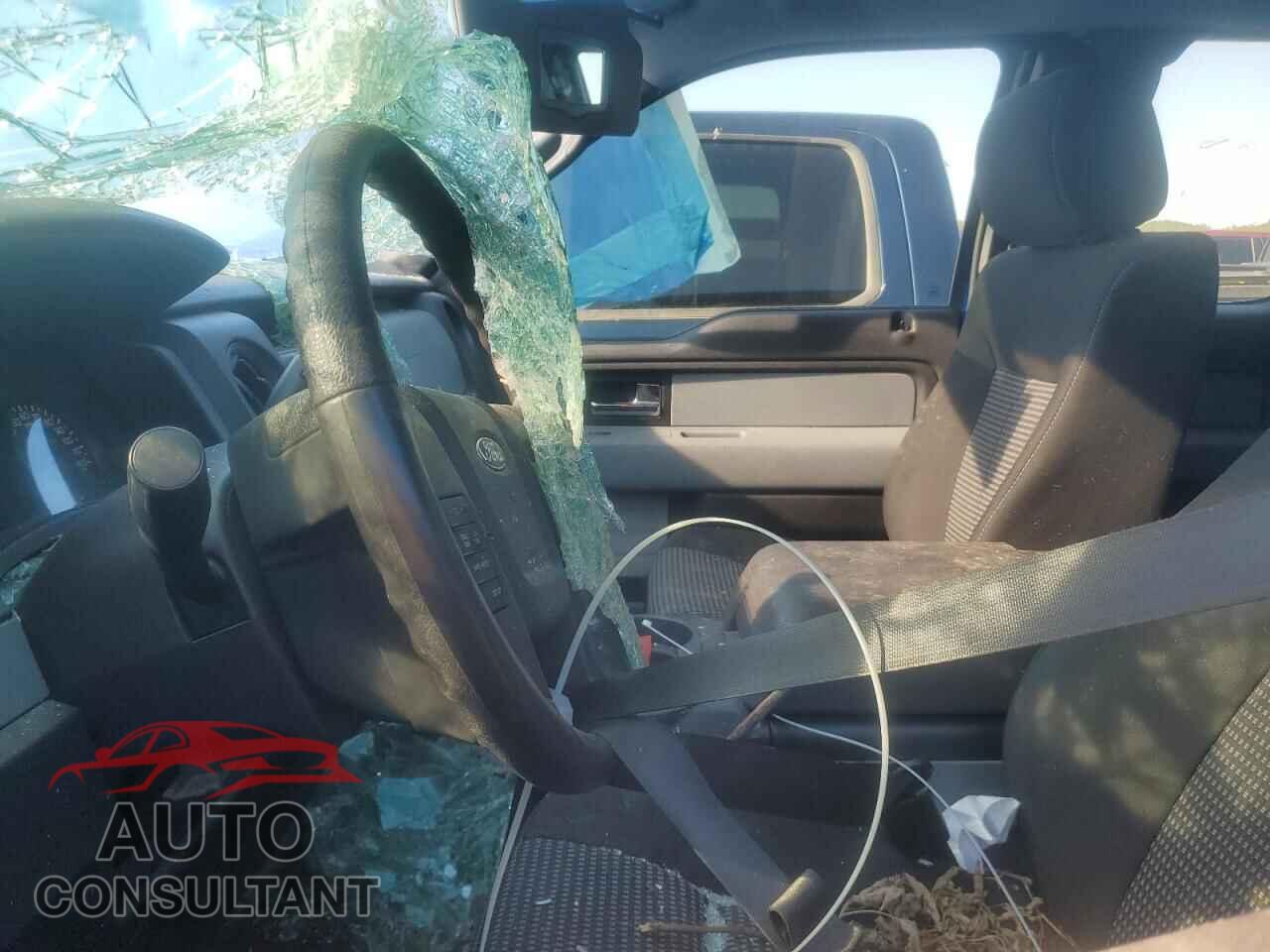 FORD F-150 2014 - 1FTFX1EF1EKE32407