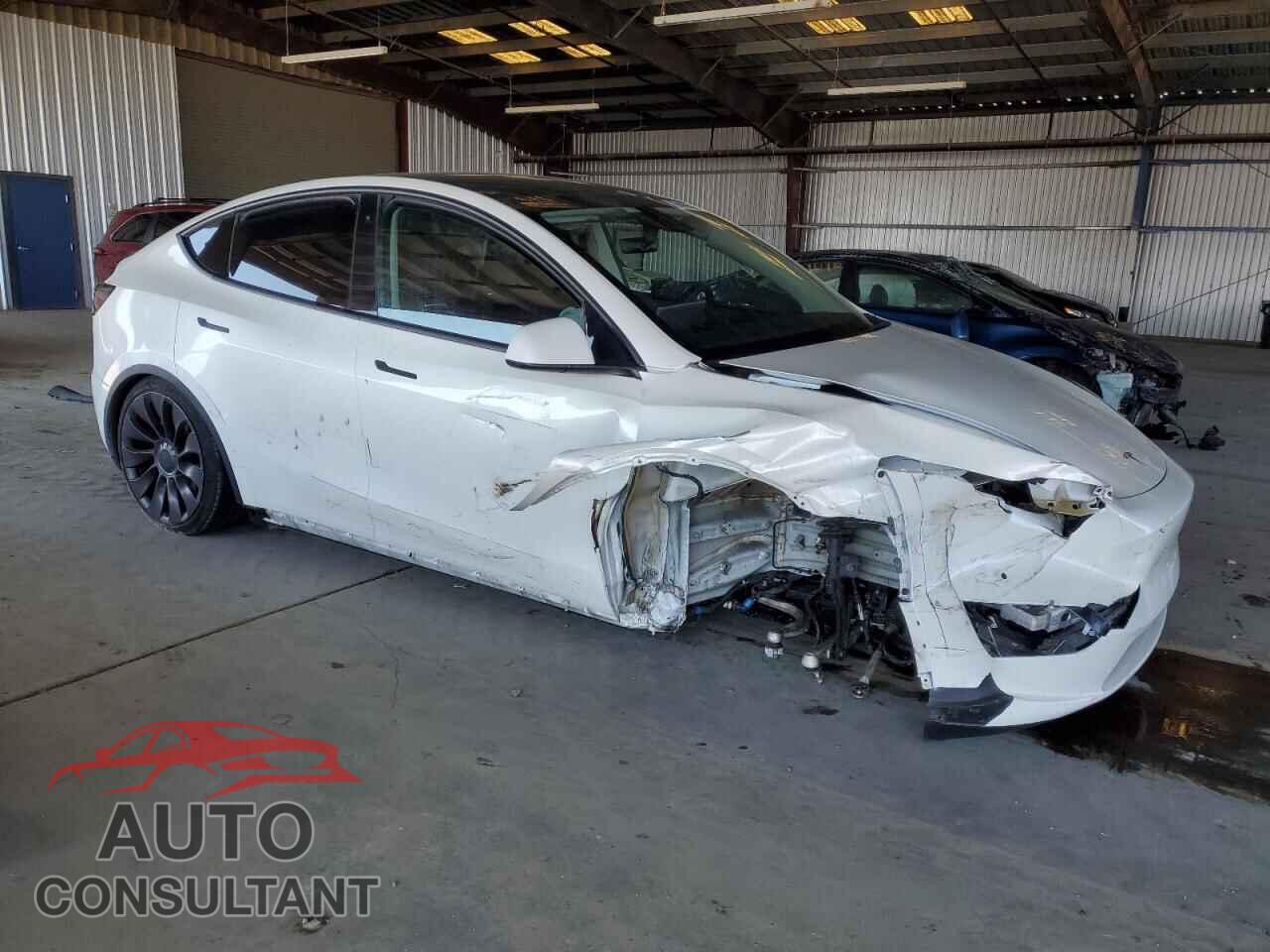 TESLA MODEL Y 2022 - 7SAYGDEF5NF313642