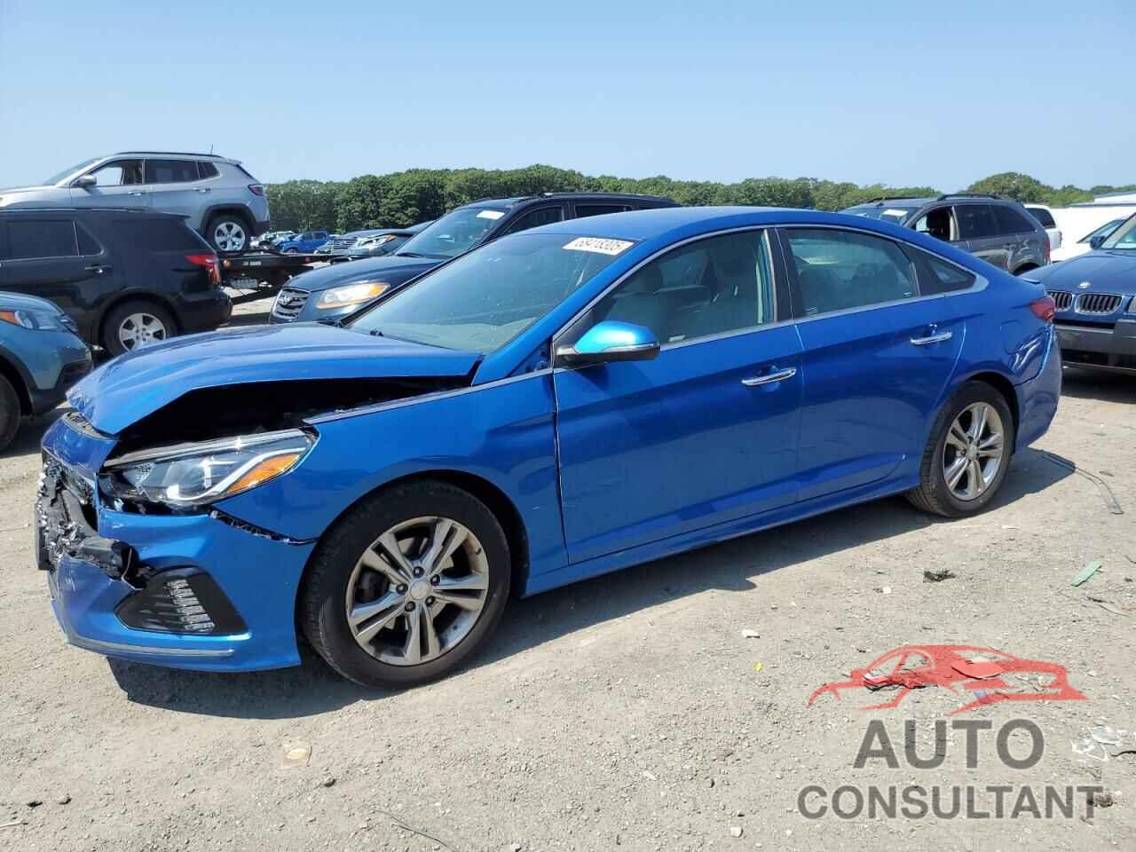 HYUNDAI SONATA 2019 - 5NPE34AF1KH781821