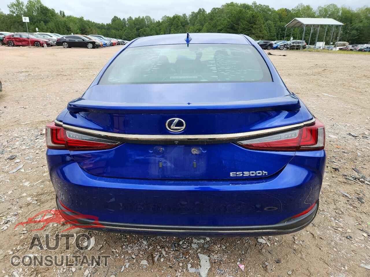 LEXUS ES300 2022 - 58AGA1C17NU018652