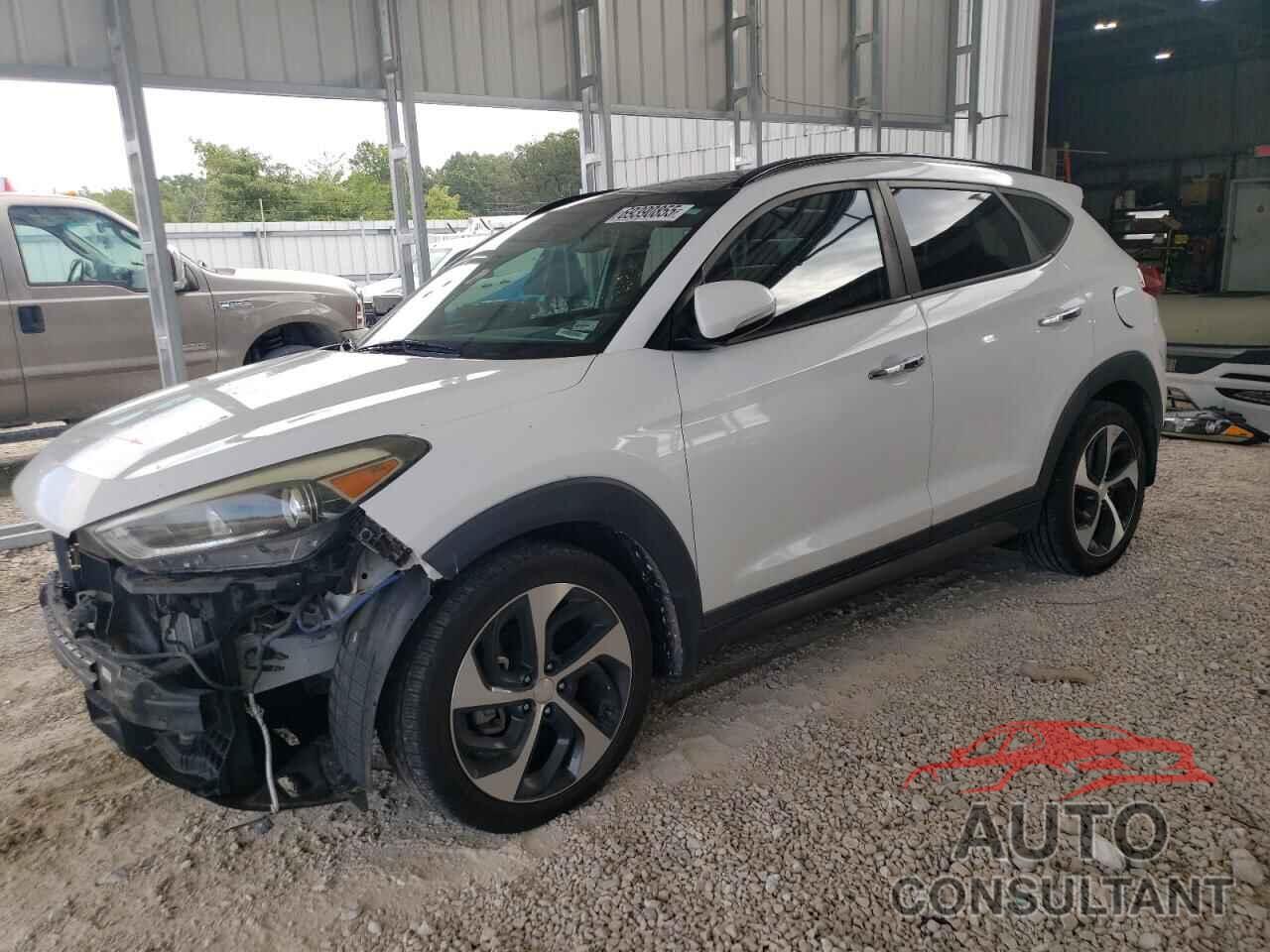 HYUNDAI TUCSON 2016 - KM8J33A21GU248009