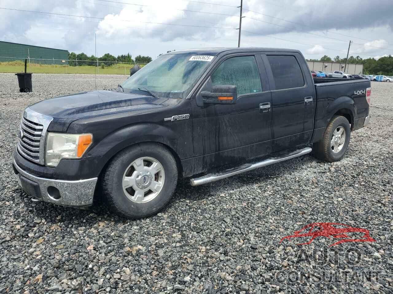 FORD F-150 2010 - 1FTFW1EV1AFA04835