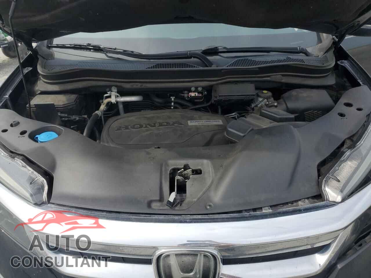 HONDA PILOT 2019 - 5FNYF5H59KB015258