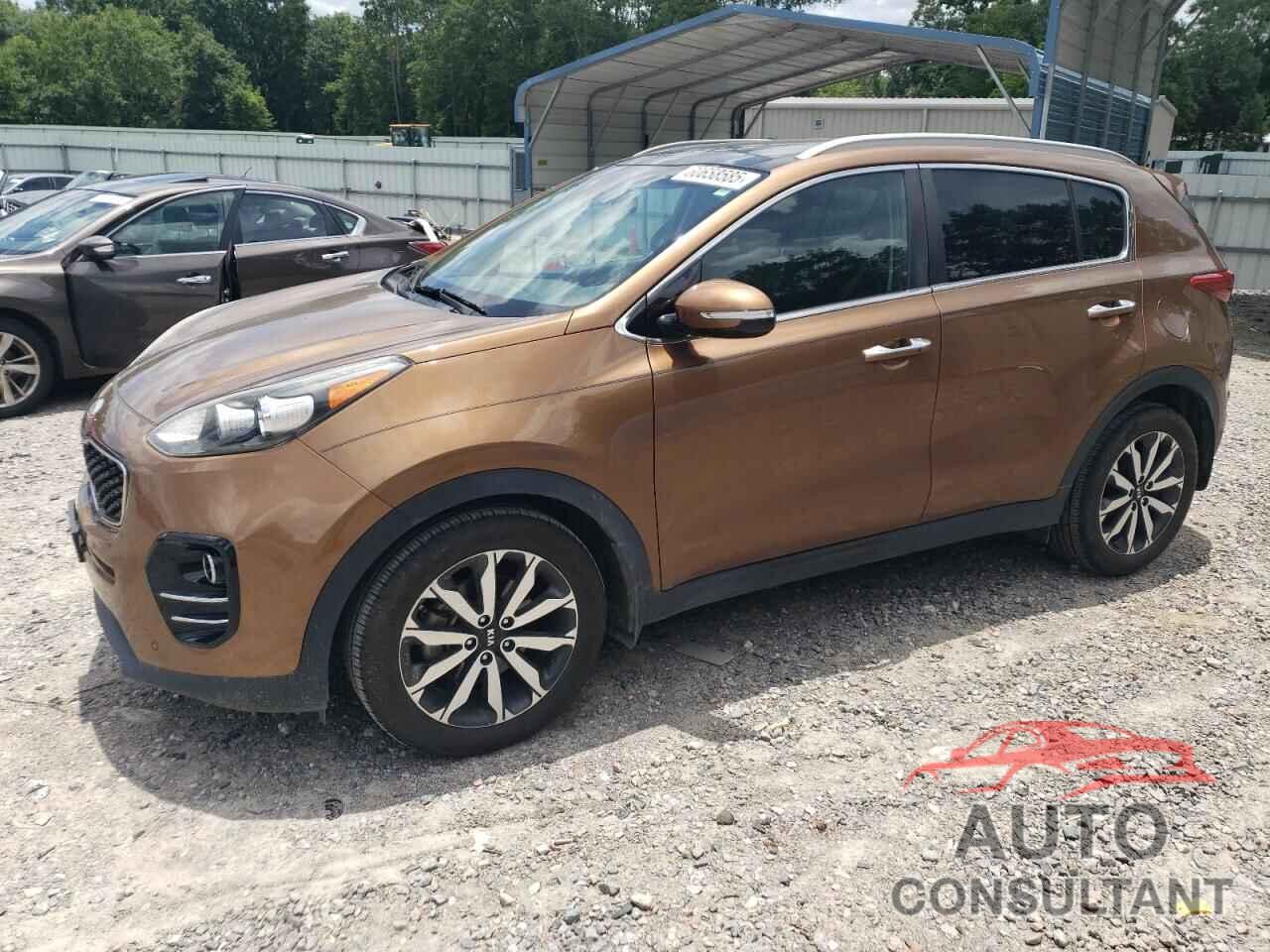 KIA SPORTAGE 2017 - KNDPN3ACXH7234370