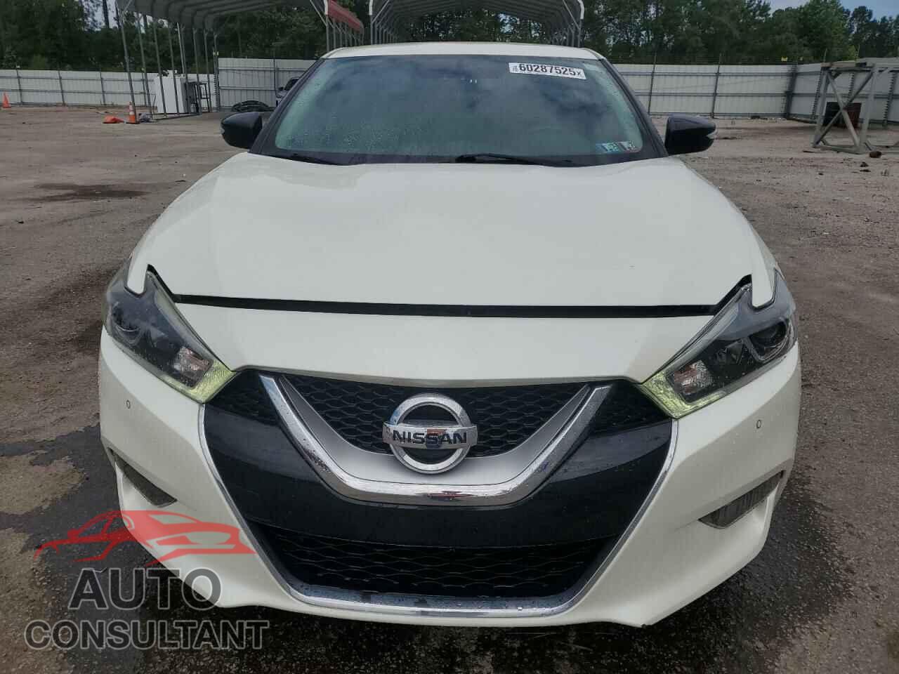 NISSAN MAXIMA 2017 - 1N4AA6AP6HC436447