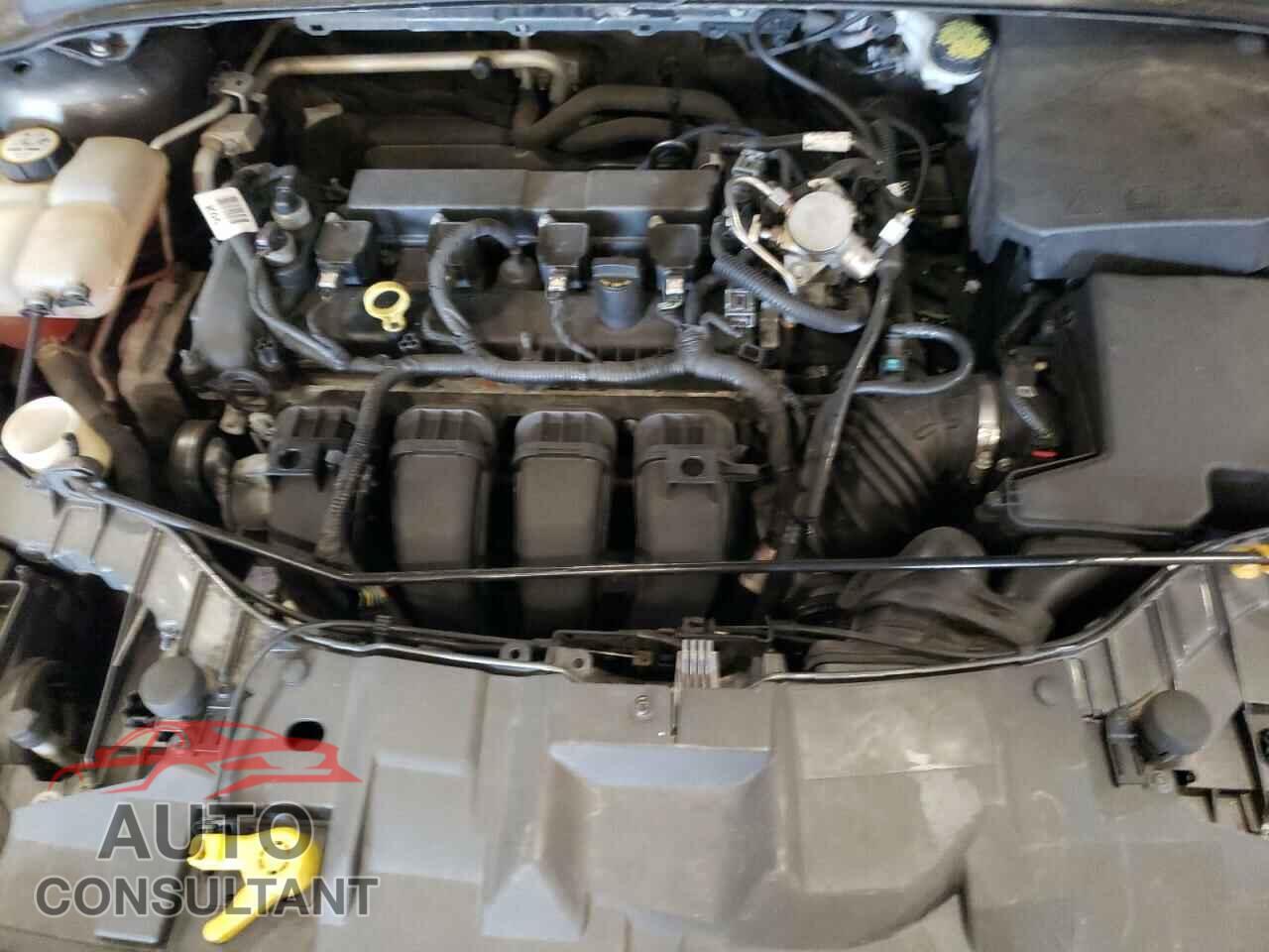 FORD FOCUS 2016 - 1FADP3F26GL397915