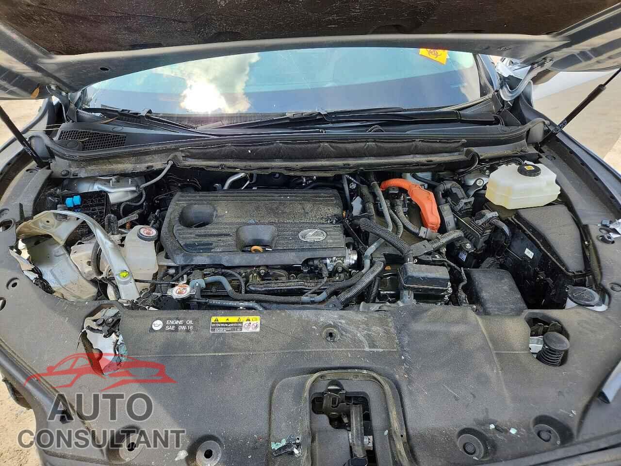 LEXUS UNKNOWN 2023 - 2T2BBMCA8PC019986