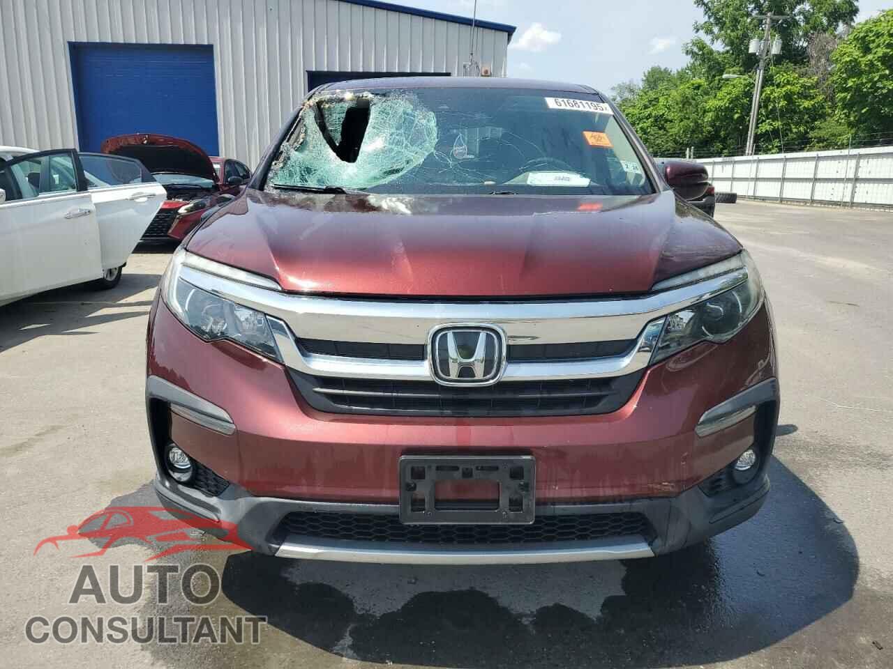 HONDA PILOT 2019 - 5FNYF6H35KB031204