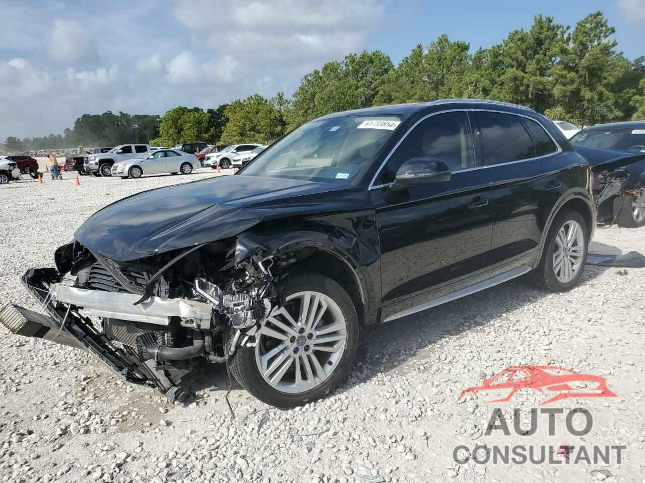 AUDI Q5 2019 - WA1BNAFY0K2046118