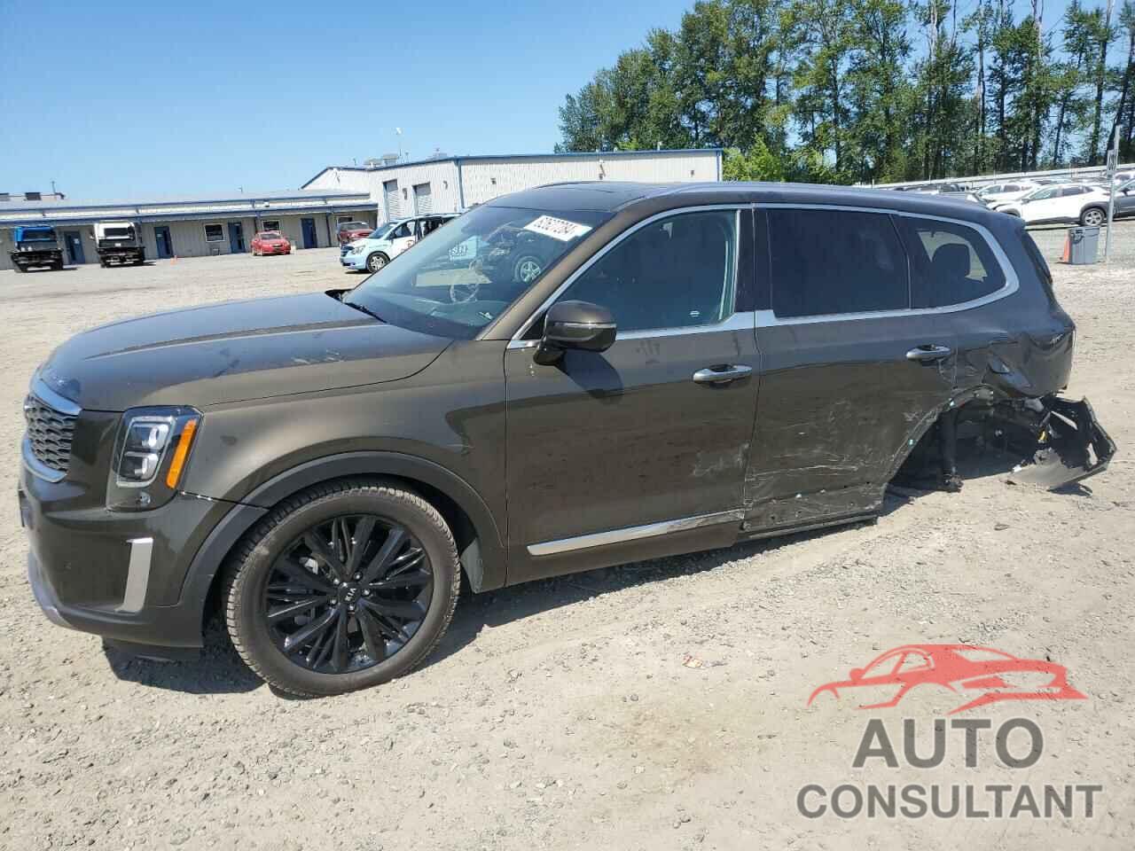 KIA TELLURIDE 2020 - 5XYP5DHC5LG014058