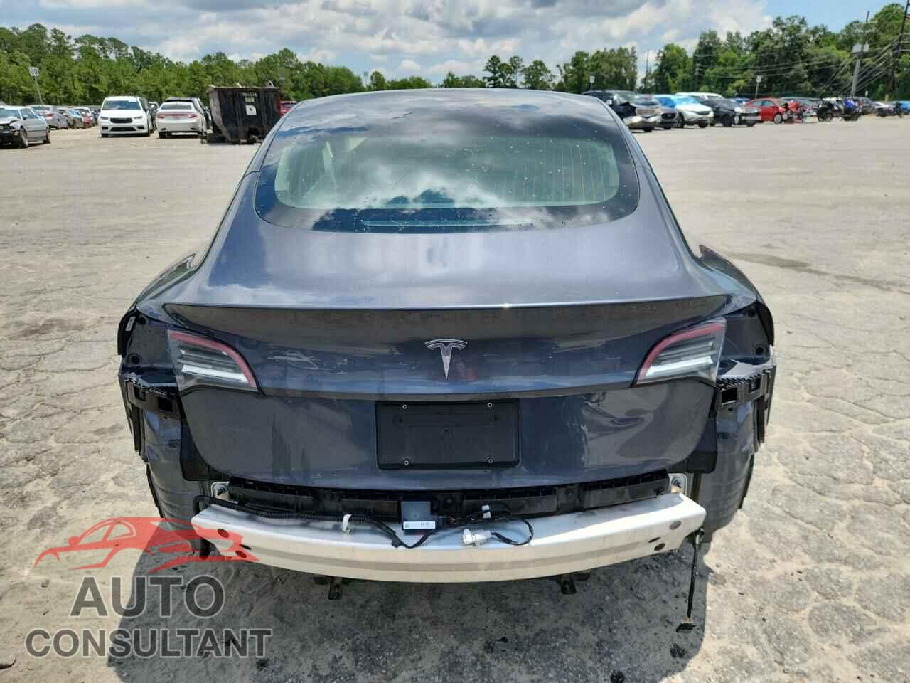 TESLA MODEL 3 2019 - 5YJ3E1EA9KF447520