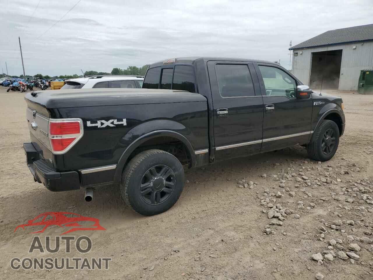 FORD F-150 2010 - 1FTFW1EV7AFD41557