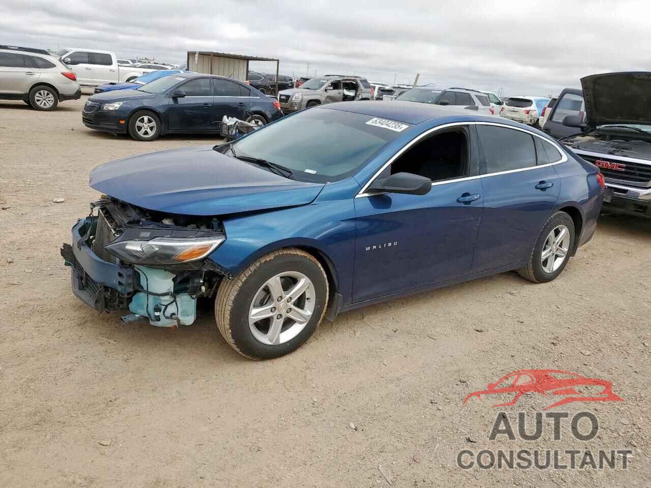 CHEVROLET MALIBU 2019 - 1G1ZB5ST9KF205203