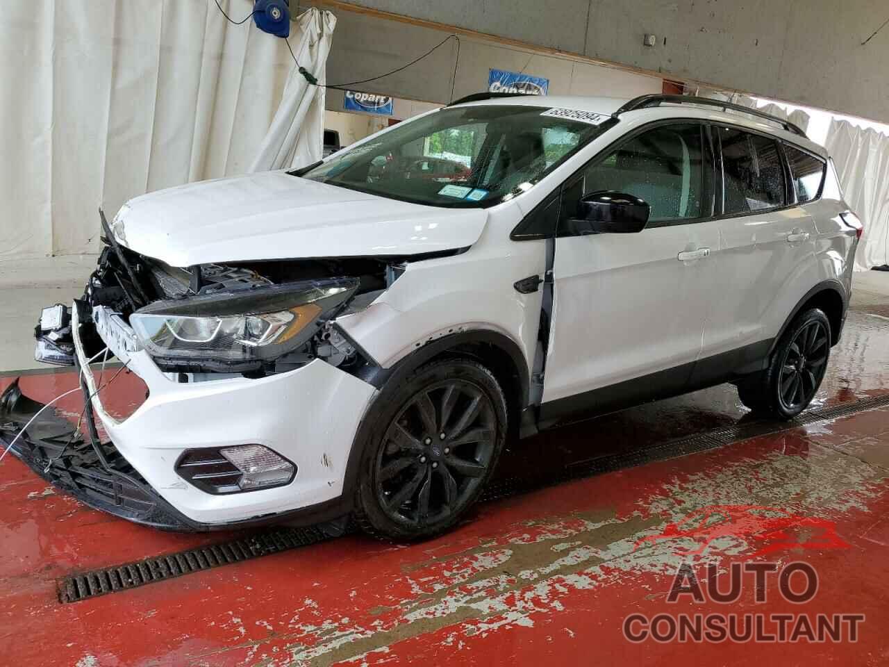 FORD ESCAPE 2019 - 1FMCU9GD5KUA76125