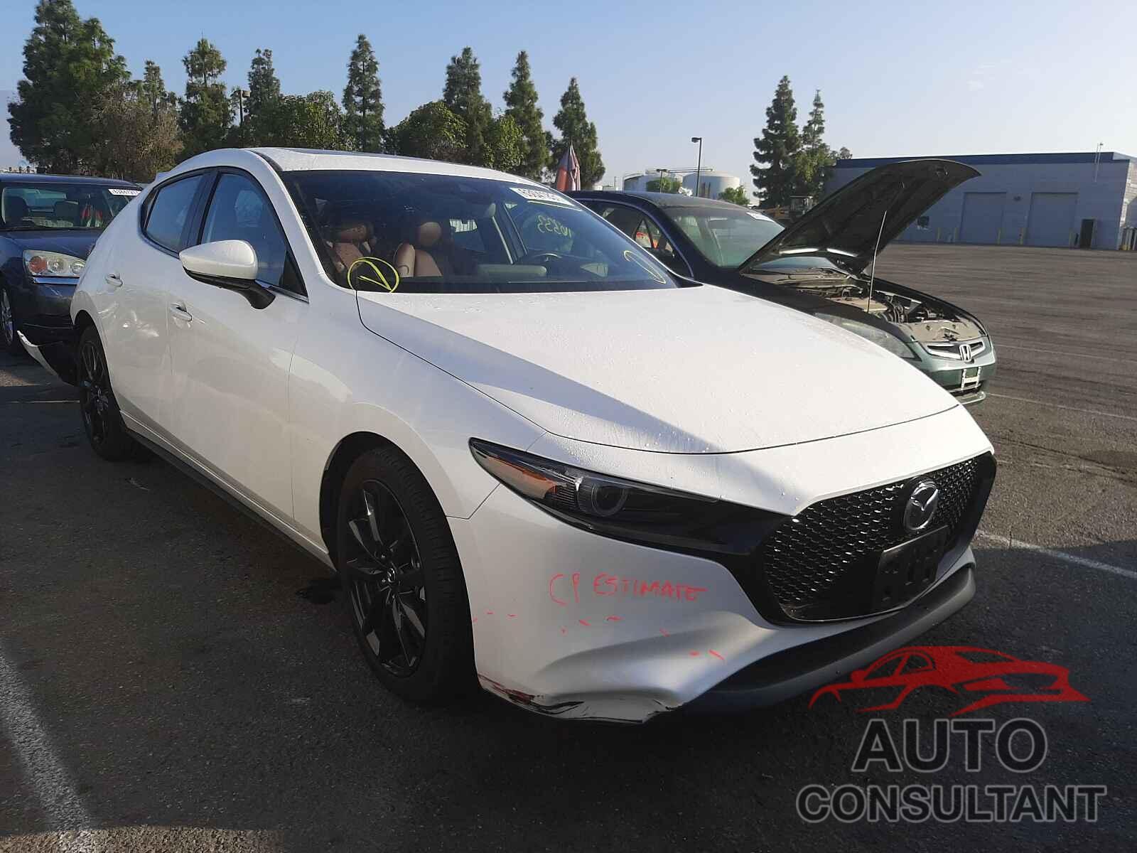 MAZDA 3 2019 - JM1BPANM1K1139461