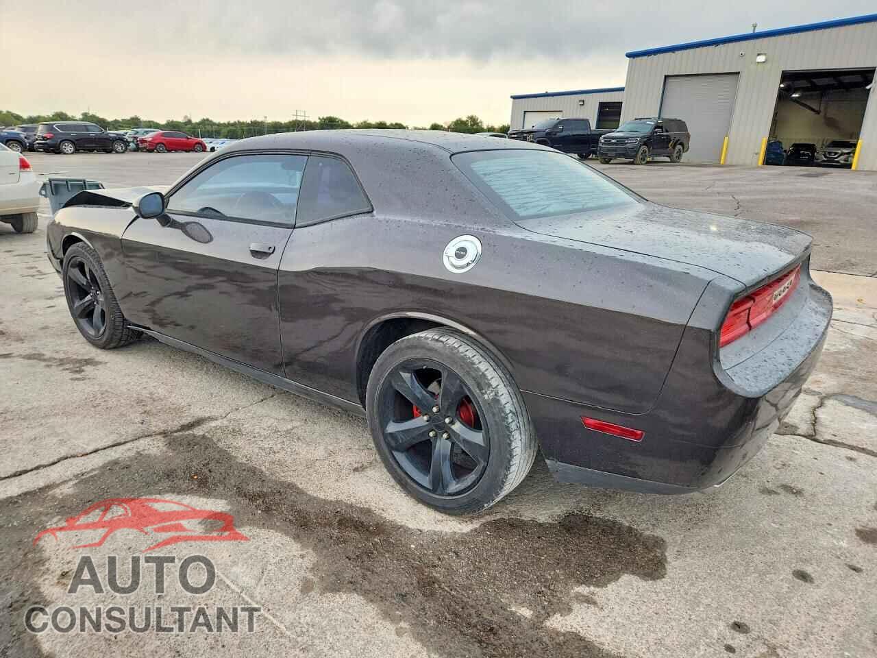 DODGE CHALLENGER 2013 - 2C3CDYAG9DH665979